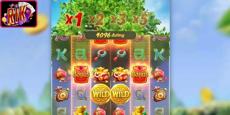 Kinh nghiệm cược từ chuyên gia